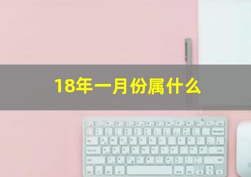 18年一月份属什么