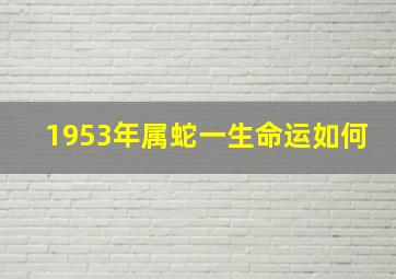 1953年属蛇一生命运如何