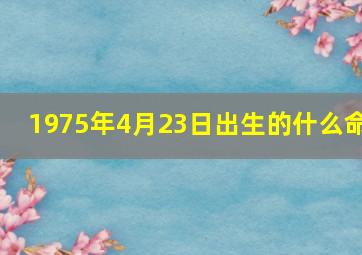 1975年4月23日出生的什么命