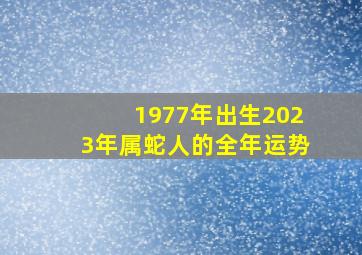 1977年出生2023年属蛇人的全年运势