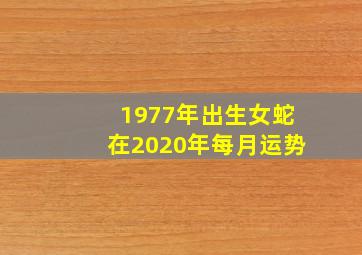 1977年出生女蛇在2020年每月运势