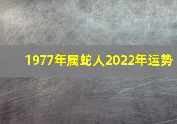 1977年属蛇人2022年运势