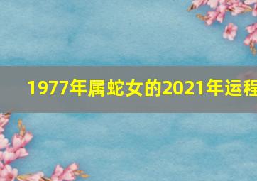 1977年属蛇女的2021年运程