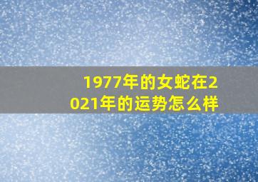 1977年的女蛇在2021年的运势怎么样