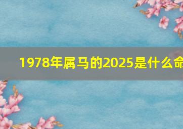 1978年属马的2025是什么命