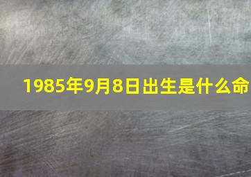 1985年9月8日出生是什么命