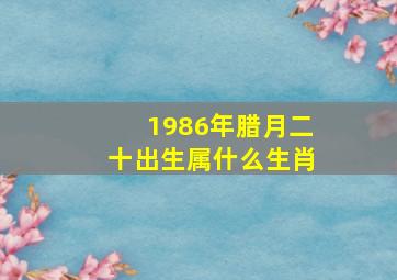 1986年腊月二十出生属什么生肖