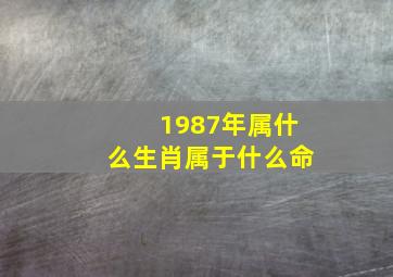 1987年属什么生肖属于什么命