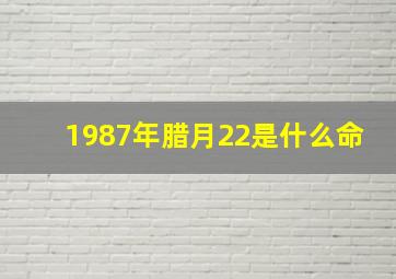 1987年腊月22是什么命