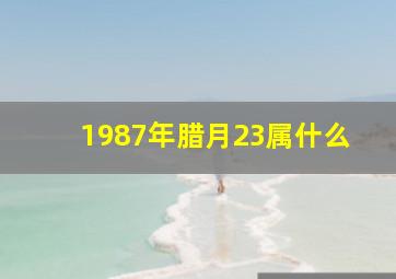 1987年腊月23属什么