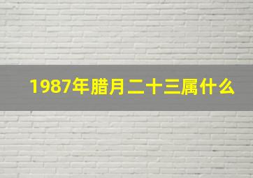 1987年腊月二十三属什么