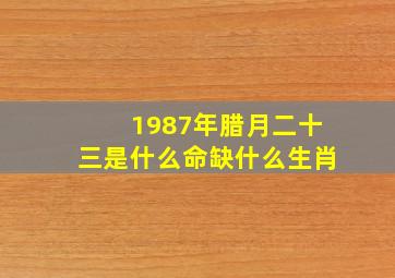 1987年腊月二十三是什么命缺什么生肖