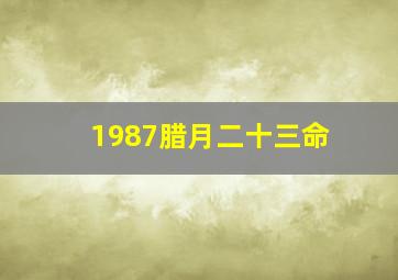 1987腊月二十三命