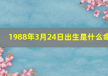 1988年3月24日出生是什么命