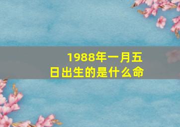 1988年一月五日出生的是什么命