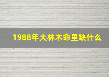 1988年大林木命里缺什么