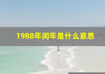 1988年闰年是什么意思