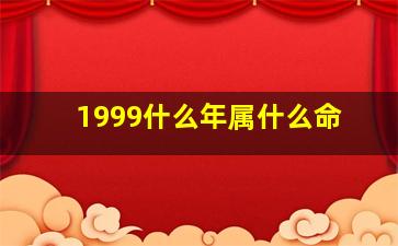 1999什么年属什么命