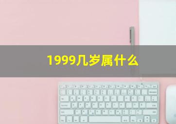 1999几岁属什么