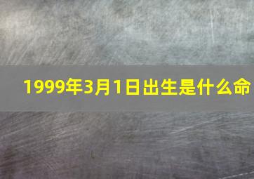 1999年3月1日出生是什么命