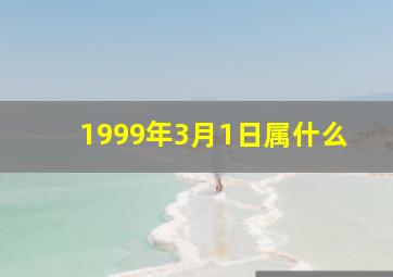 1999年3月1日属什么