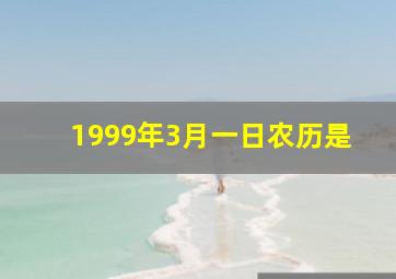 1999年3月一日农历是