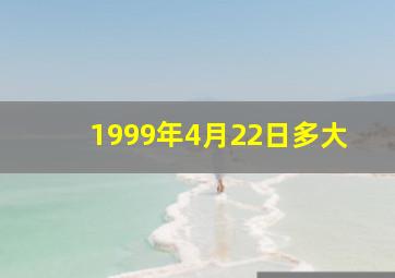 1999年4月22日多大