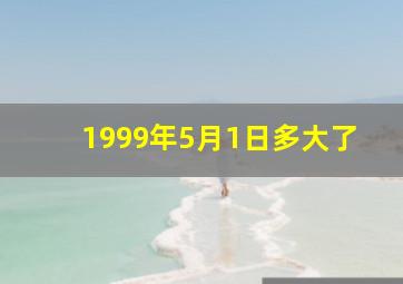 1999年5月1日多大了