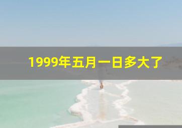 1999年五月一日多大了