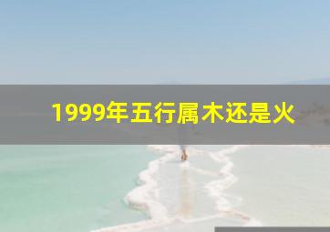 1999年五行属木还是火