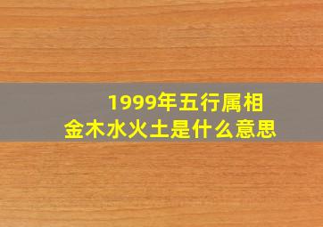 1999年五行属相金木水火土是什么意思