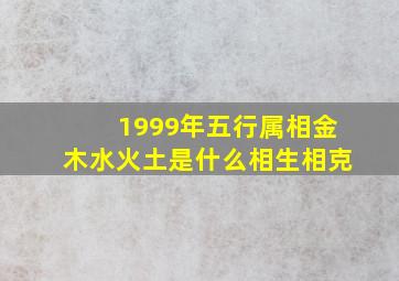 1999年五行属相金木水火土是什么相生相克