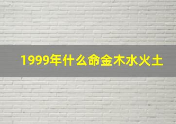 1999年什么命金木水火土