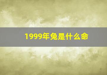 1999年兔是什么命