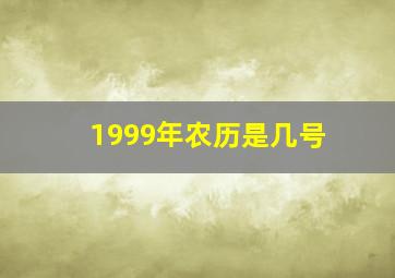 1999年农历是几号