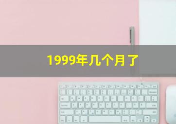 1999年几个月了