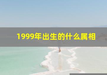 1999年出生的什么属相