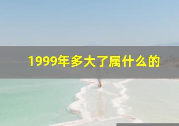 1999年多大了属什么的