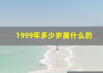 1999年多少岁属什么的