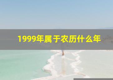 1999年属于农历什么年