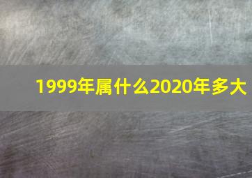 1999年属什么2020年多大