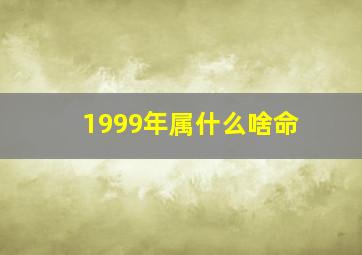 1999年属什么啥命