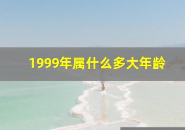 1999年属什么多大年龄