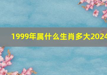 1999年属什么生肖多大2024