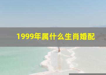 1999年属什么生肖婚配