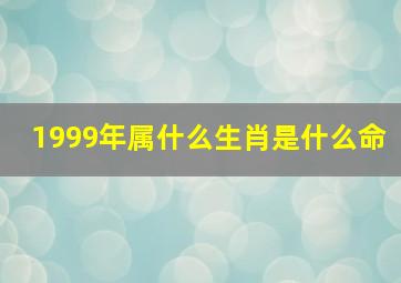 1999年属什么生肖是什么命