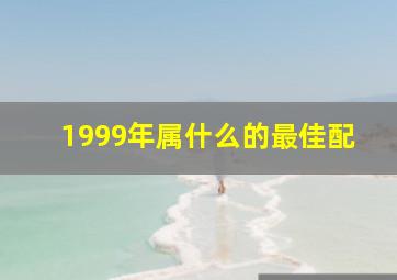 1999年属什么的最佳配