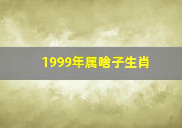 1999年属啥子生肖