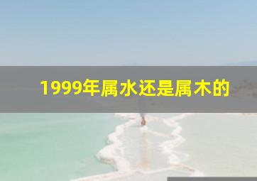 1999年属水还是属木的