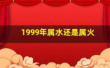 1999年属水还是属火